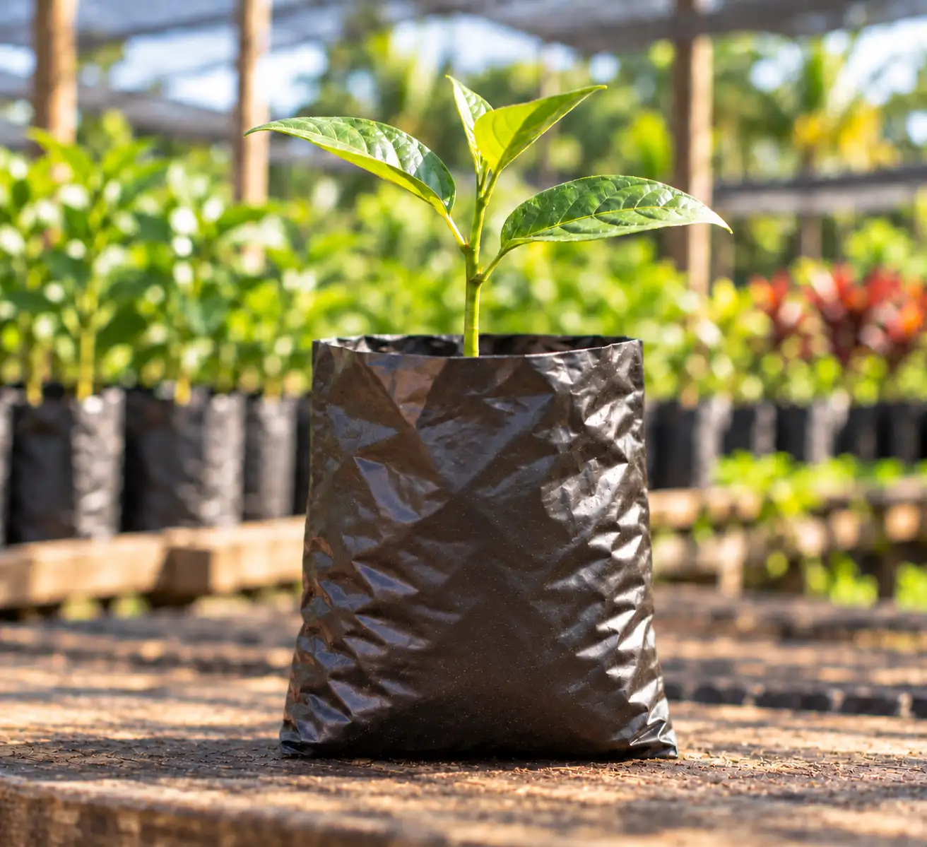 Eco Pick Nursery Potting Bags